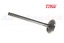 VALVE-INLET