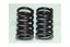 VALVE SPRING