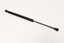 TRUNK LID STRUT