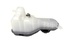 EXPANSION TANK