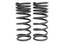 TERRAFIRMA 1" LOWERED REAR SPRINGS (PAIR) - DEF 110