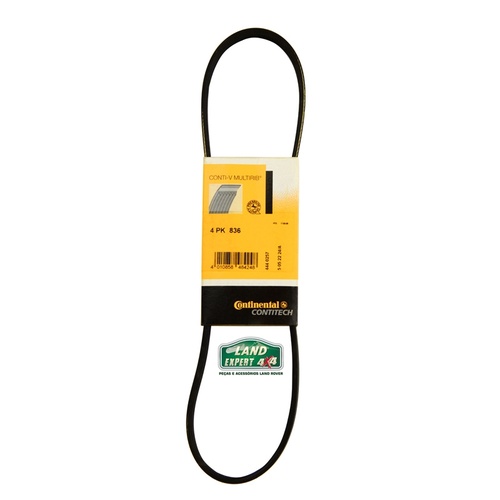 Correia AC RR P38 Contitech