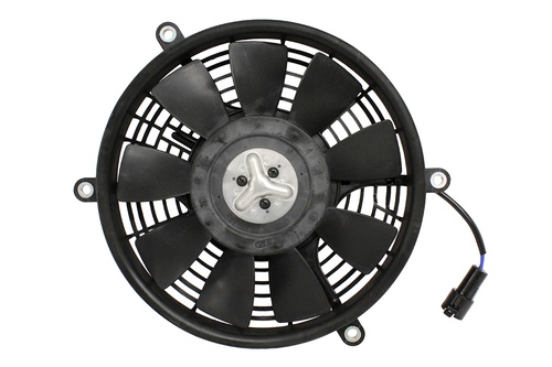FAN