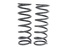 Molas TF Heavy Load (HD) Frente ou Light Load Traseira Def/ Disc1/ RRC +5cm