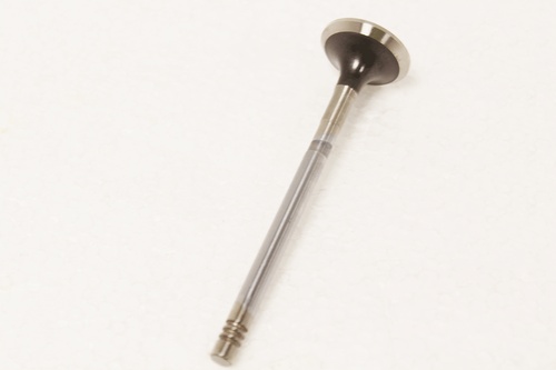 EXHAUST VALVE