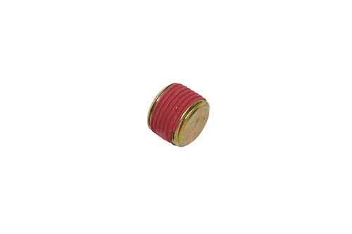 PLUG DRAIN