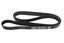 BELT - ACCESSORY DRIVE