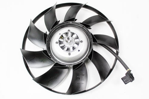FAN AND MOTOR
