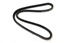 DRIVE BELT