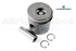 PISTON ASSY