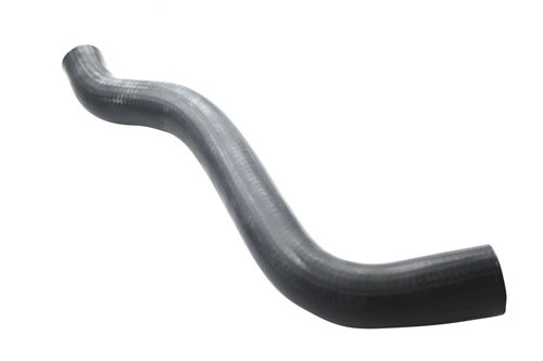 HOSE - RADIATOR