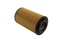 OIL FILTER+GASKET