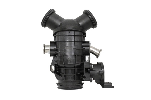 THROTTLE BODY AND MOTOR