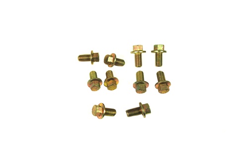 CAMSHAFT PULLEY BOLT - M8 X 16MM - D1/DEF 83-06/F1/RRC