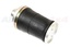 AIR SPRING - ASSEMBLY