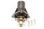 THERMOSTAT ASSY
