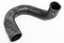 HOSE - RADIATOR BOTTOM