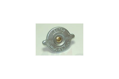 Tampa Radiador Defender / Discovery / RR / Series