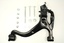 KIT - ARM WITH BOLTS RRA 05-10