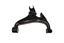 ARM - REAR SUSPENSION