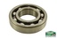 Rolamento Caixa Borg Warner