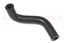 HOSE - BREATHER - MANIFOLD - V8 - D1/RRC