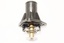 THERMOSTAT ASSY