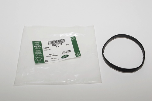 THERMOSTAT SEAL