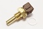 TEMP SENSOR