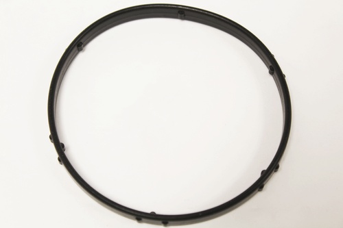 THERMOSTAT SEAL