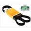 Correia Discovery 2 TD5 7PK1867