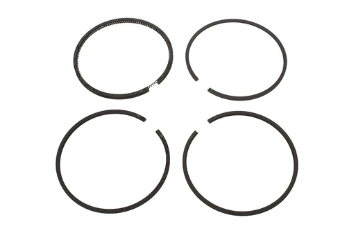 Segmentos Serie STD