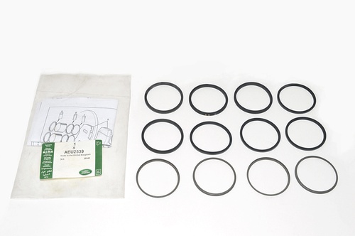 KIT - CALIPER SEAL