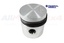 PETROL PISTON 060 O/S
