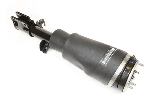 SHOCK ABSORBER AND AIR SPRING - RH