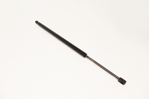 TAILGATE STRUT