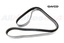 DRIVE BELT - TD4 2.2 DIESEL
