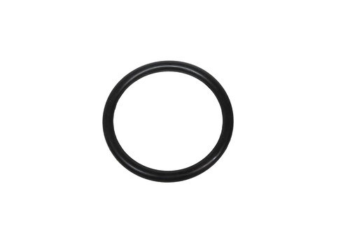 O RING COOLANT DUCT 4.4 EFI