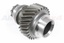 GEAR TRANSFER