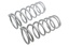 PAIR FR COIL SPRINGS