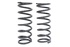 Molas medium load TF frente Def / Disc1/ RRC + 5cm