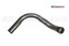 EXHAUST PIPE