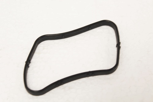 THERMOSTAT SEAL