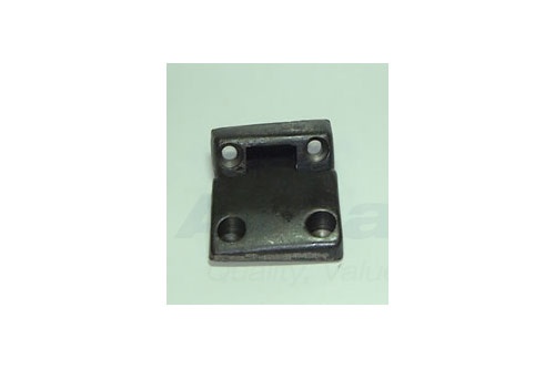 HINGE - DOOR LOWER RH