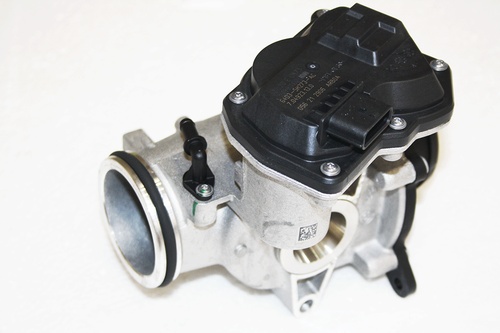 EGR VALVE + THROTTLE BODY ASSY