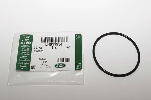 O-Ring