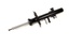 SHOCK ABSORBER - LH