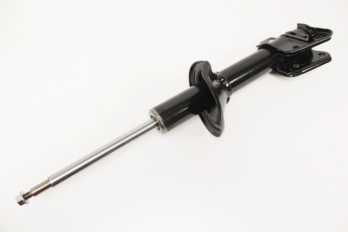 DAMPER ASSY REAR-GAS
